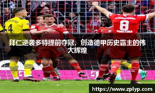 狗万max官网
