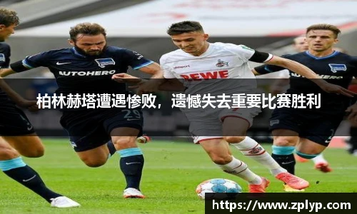 狗万网址