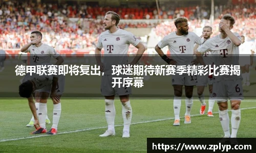 狗万max官网