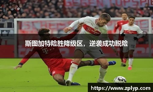 狗万官网